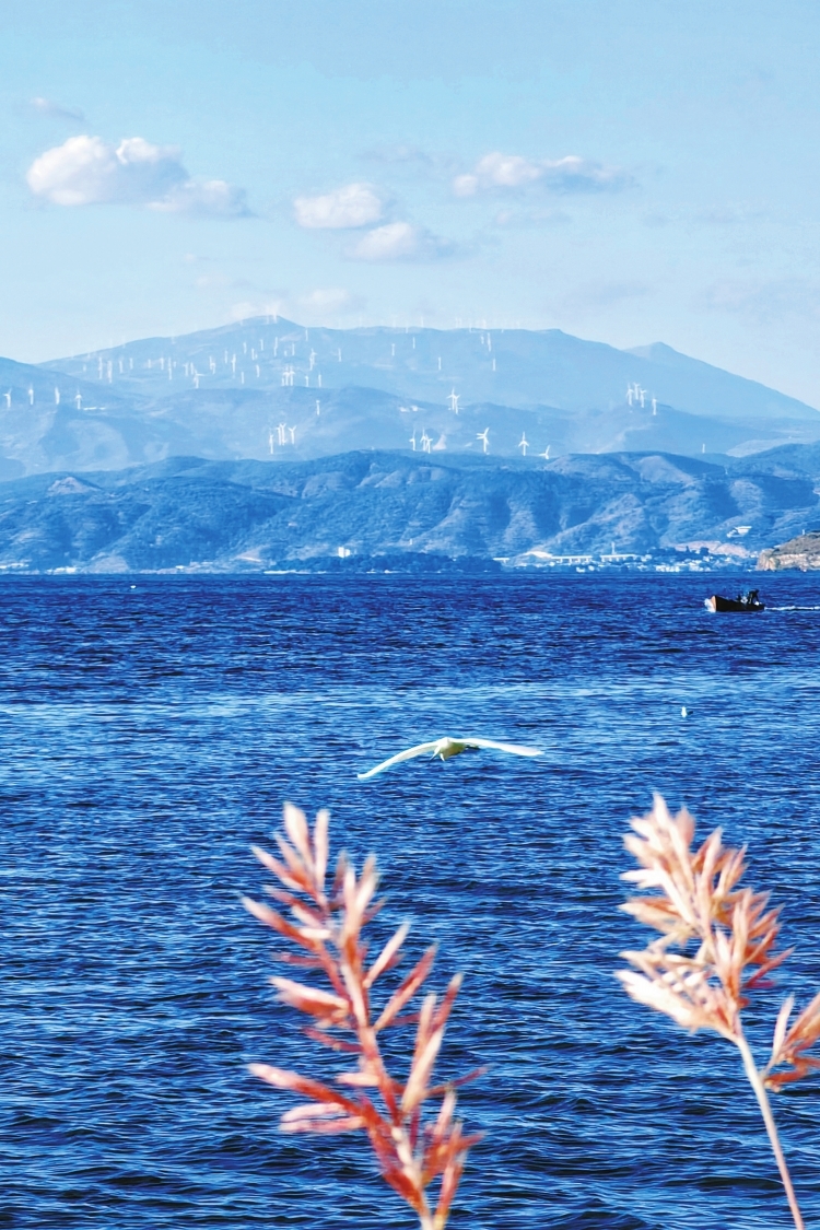 CSG_smartgrid's tweet photo. Behold the Erhai Lake!
#CSG achieved #greendevelopment in #Dali, #Yunnan province, with 100% of the total installed capacity being #renewableenergy by June! In July, 1,191.8 MW of #PVpower was connected to the grid in Dali, with the largest new #PV installed capacity in Yunnan. https://t.co/chrMKnwDKV