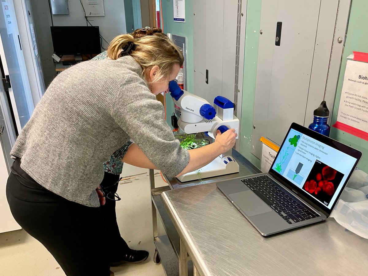 Charlie Anderson (@candersonlab) on Twitter photo Yesterday we had the pleasure of hosting <a href="/McGrawLab/">McGrawLab</a>  for a visit to the Anderson Lab - so much fun to talk about the dynamics of plant cell walls with the head of <a href="/PennStateBio/">Penn State Biology</a>! 🌱🔬🤓😃 Yesterday we had the pleasure of hosting <a href="/McGrawLab/">McGrawLab</a>  for a visit to the Anderson Lab - so much fun to talk about the dynamics of plant cell walls with the head of <a href="/PennStateBio/">Penn State Biology</a>! 🌱🔬🤓😃