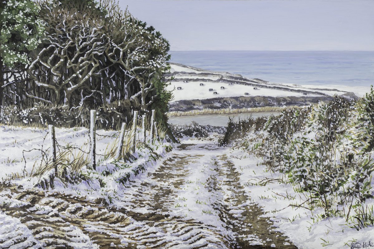 ‘Carminowe Snow, Penrose’ 30x20cm, acrylic

A painting of a snowy, morning walk taken a few years ago on the Penrose Estate near Helston, Cornwall ☺️❄️

#alicehole #aliceholeartist #acrylicpainting #cornishpainting #cornishart #art #painting #cornwall