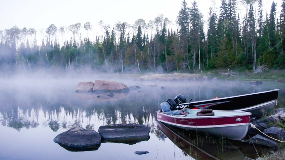 Shared Value Solutions tweet media