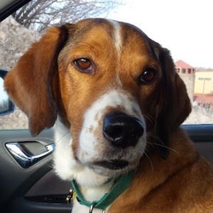 Wishing Buddy a happy birthday!