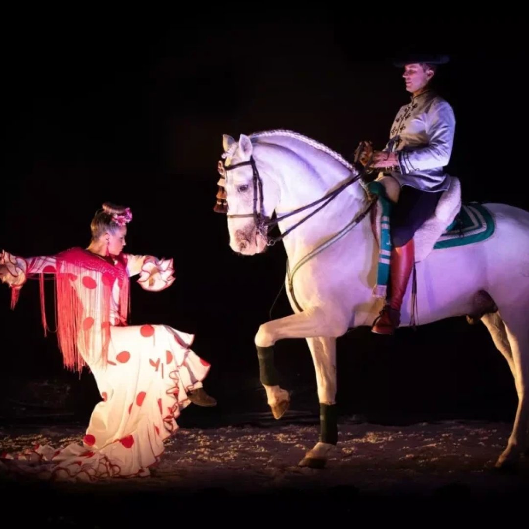 ¡Feliz Día Internacional del Flamenco! 💃 En nuestra ciudad encontrarás dos tablaos donde disfrutar de esta expresión artística: Taberna Flamenca Pepe López y Tablao Flamenco Iñaki Beach. Además, no te puedes perder el espectáculo ecuestre con toque flamenco de El Ranchito.