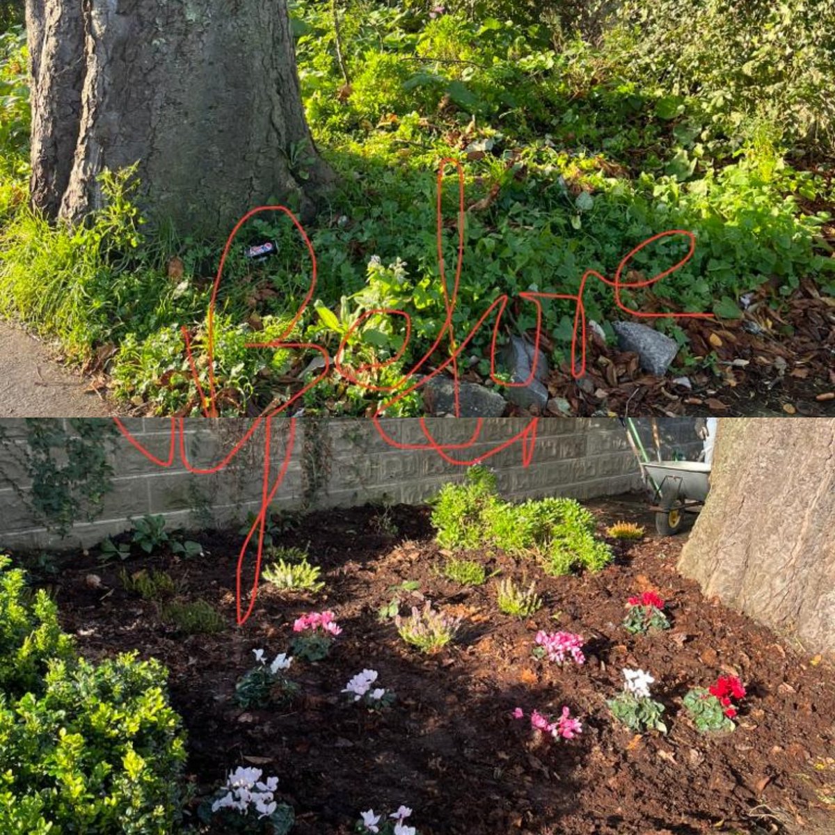 Day 2 of #TY #community week with @hfclontarf this week saw the students add new colour to Vernon Ave with a new flower 🌼 bed at Seafield Rd junction. Weeded and leaf 🍃 mulch from our nets. Brilliant work girls helping #GreenUpClontarf @tydotie @loveclontarf_ie