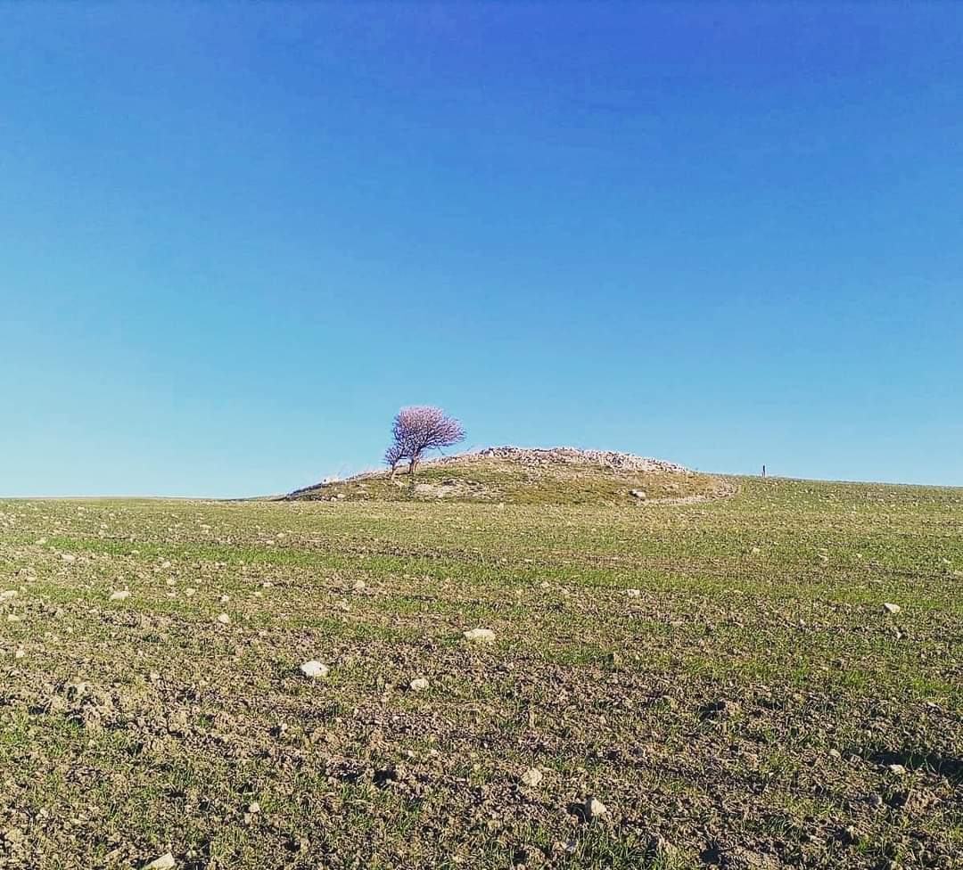Meglio soli...
#montidauni 
#Puglia 
#landscape