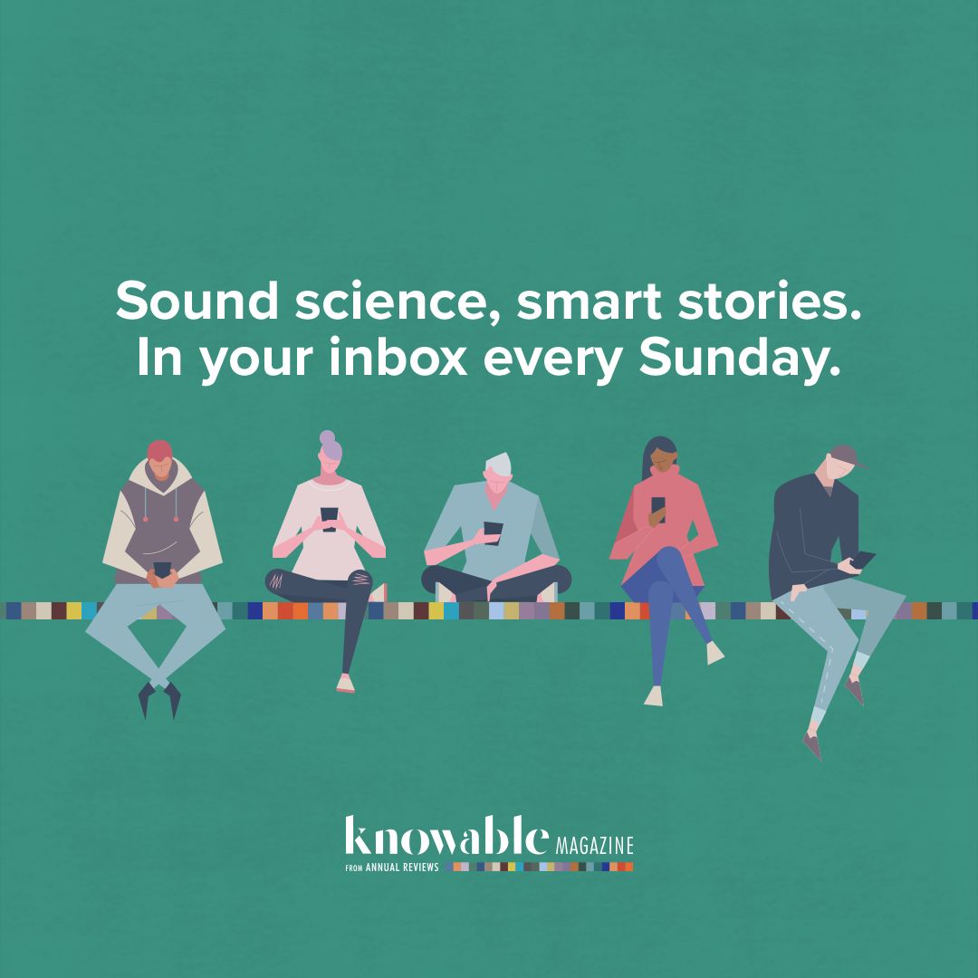 Knowable Magazine tweet media