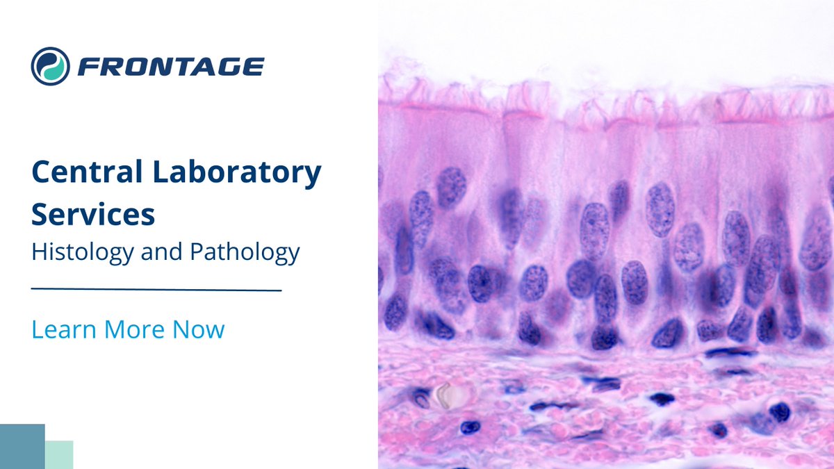 FrontageLabs's tweet image. At Frontage we offer a wide range of testing capabilities for #histology and #pathology services. Our scientists have expertise in sample processing with a wide range of stains including immunochemistry and multiplexing IHC.

👉 Learn More Now: ow.ly/A6iG50P1yv1

#cro