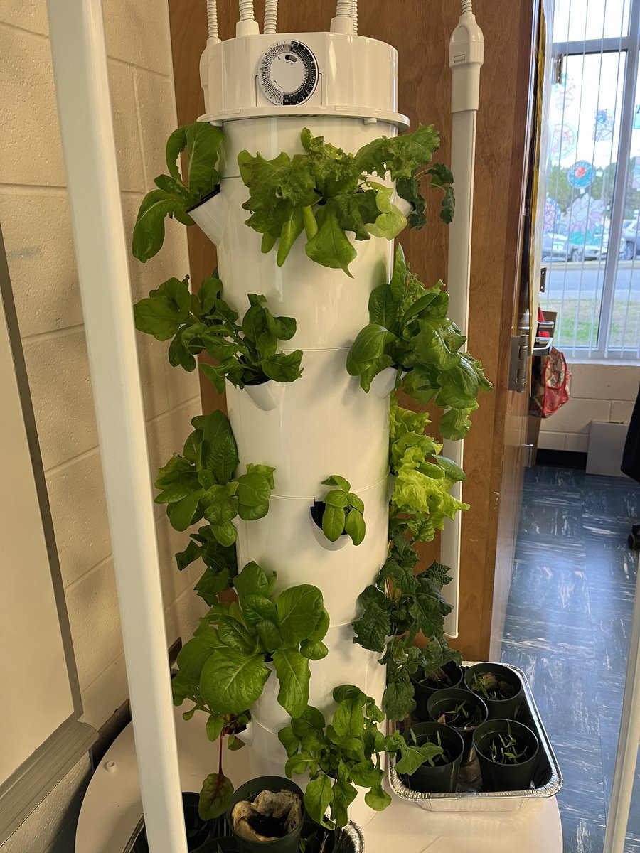 TruaxEduc's tweet photo. How does your garden grow? STEM clubs hydroponics tower is almost ready to harvest. @WCE_HCS @drobinsonedu @drhafza #stemHenry https://t.co/NyUWxEBBwF