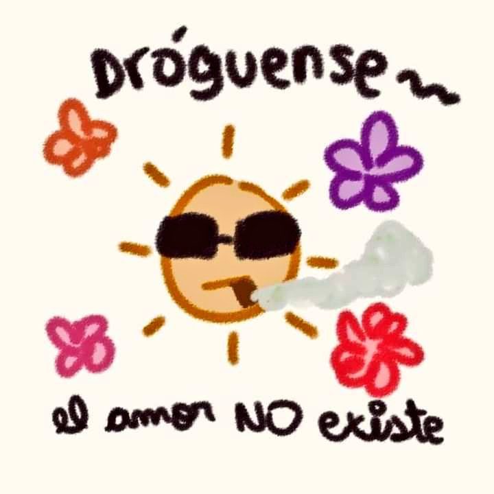 Mariguanillo's tweet photo. Buenos días ☀️ ! https://t.co/cHlcX2kGn1