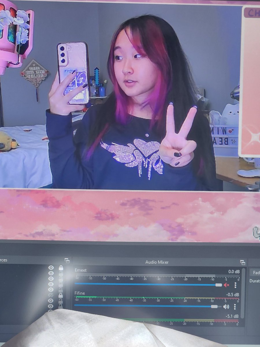 Windbeater ✧ Twitch Streamer ✧ tweet media