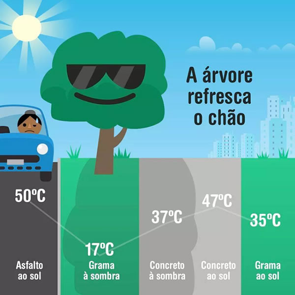 Animação brasileira “Acorda, Carlo!” estreia na Netflix em 6 de julho