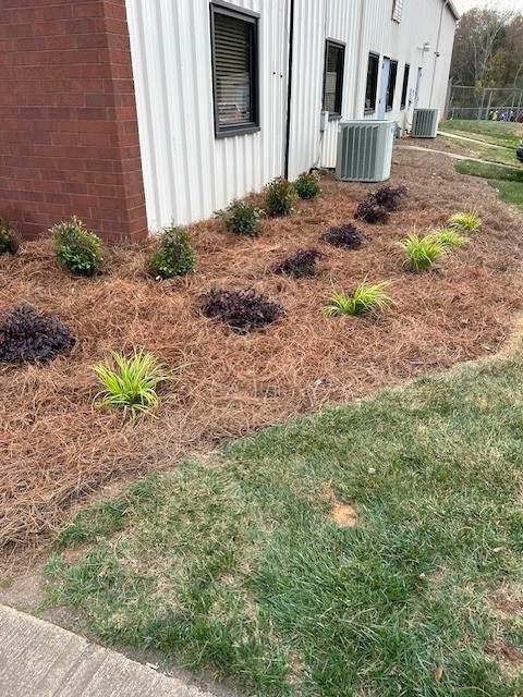 CarolinaTree1's tweet photo. The Concord Lewis and Carolina Tree Care dream team strikes again! This time, we worked together to give our office building a much-needed facelift. We took a break from our busy schedules yesterday to plant some fresh blooms and greenery around the exterior. 🌸🌿 #teambuilding https://t.co/mXGisONUoZ