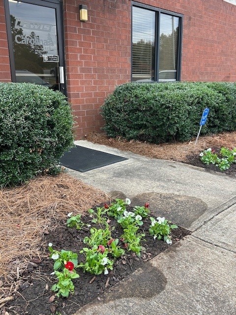CarolinaTree1's tweet photo. The Concord Lewis and Carolina Tree Care dream team strikes again! This time, we worked together to give our office building a much-needed facelift. We took a break from our busy schedules yesterday to plant some fresh blooms and greenery around the exterior. 🌸🌿 #teambuilding https://t.co/mXGisONUoZ