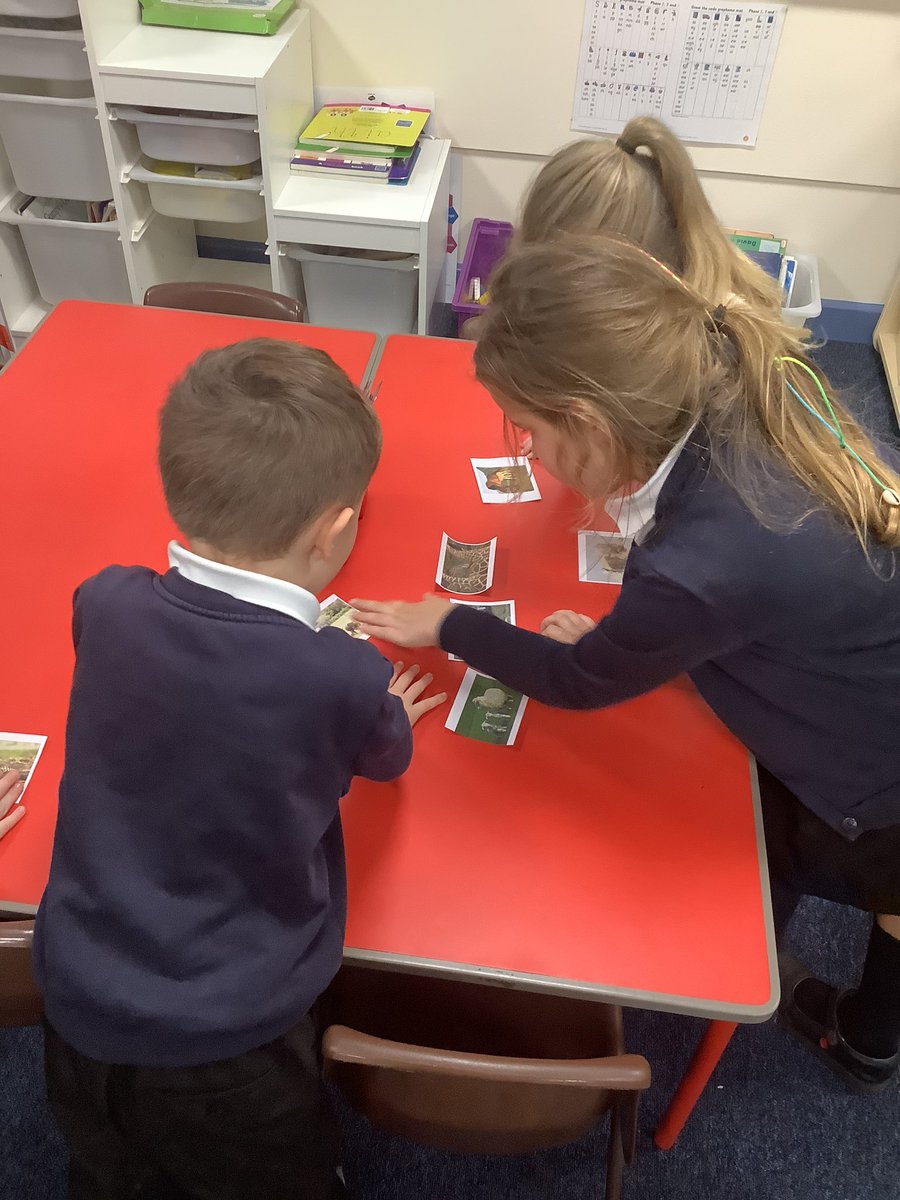 BandBschool's tweet photo. Team Aire are identifying mammal in science. These are animals that have fur or hair! #BandBStem #BandBAire https://t.co/ARbivtVtf8