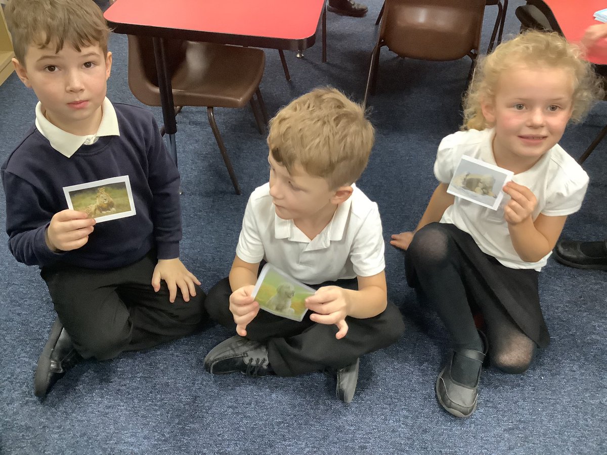 BandBschool's tweet photo. Team Aire are identifying mammal in science. These are animals that have fur or hair! #BandBStem #BandBAire https://t.co/ARbivtVtf8