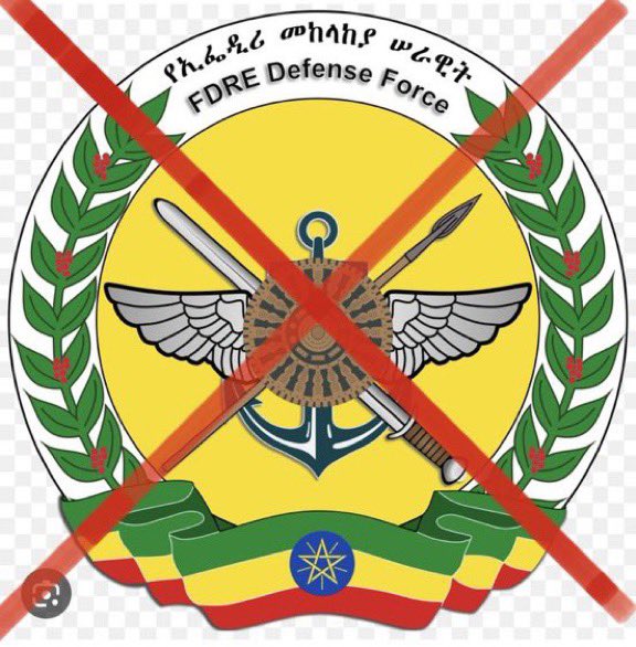 Ebrahim53277131's tweet photo. On the recent #droneAttacks, @AbiyAhmedAli's gov’t killed more than 20 Amhara civilians, including a ♀️ teacher & her infant at Wedera Elementary 🏫 in Showa #Ankober, Amhara region. #AmharaRevolution #StateSponsoredAmharaGenocide @hrw @amnesty @Reuters @AP @UN_HRC @EUinEthiopia https://t.co/NPT9kgcqft