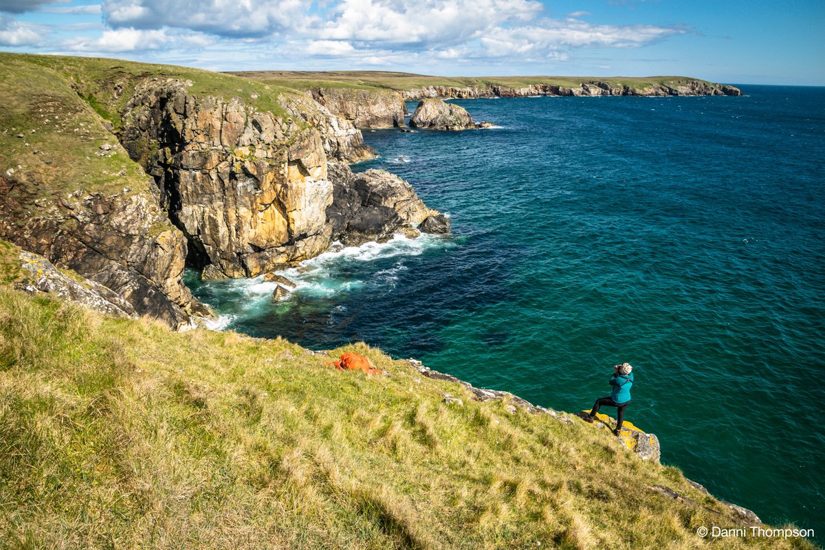 Seabird Surveys tweet media