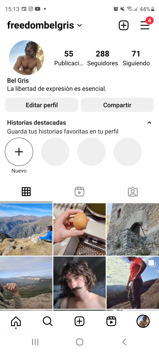 Bel Gris tweet media