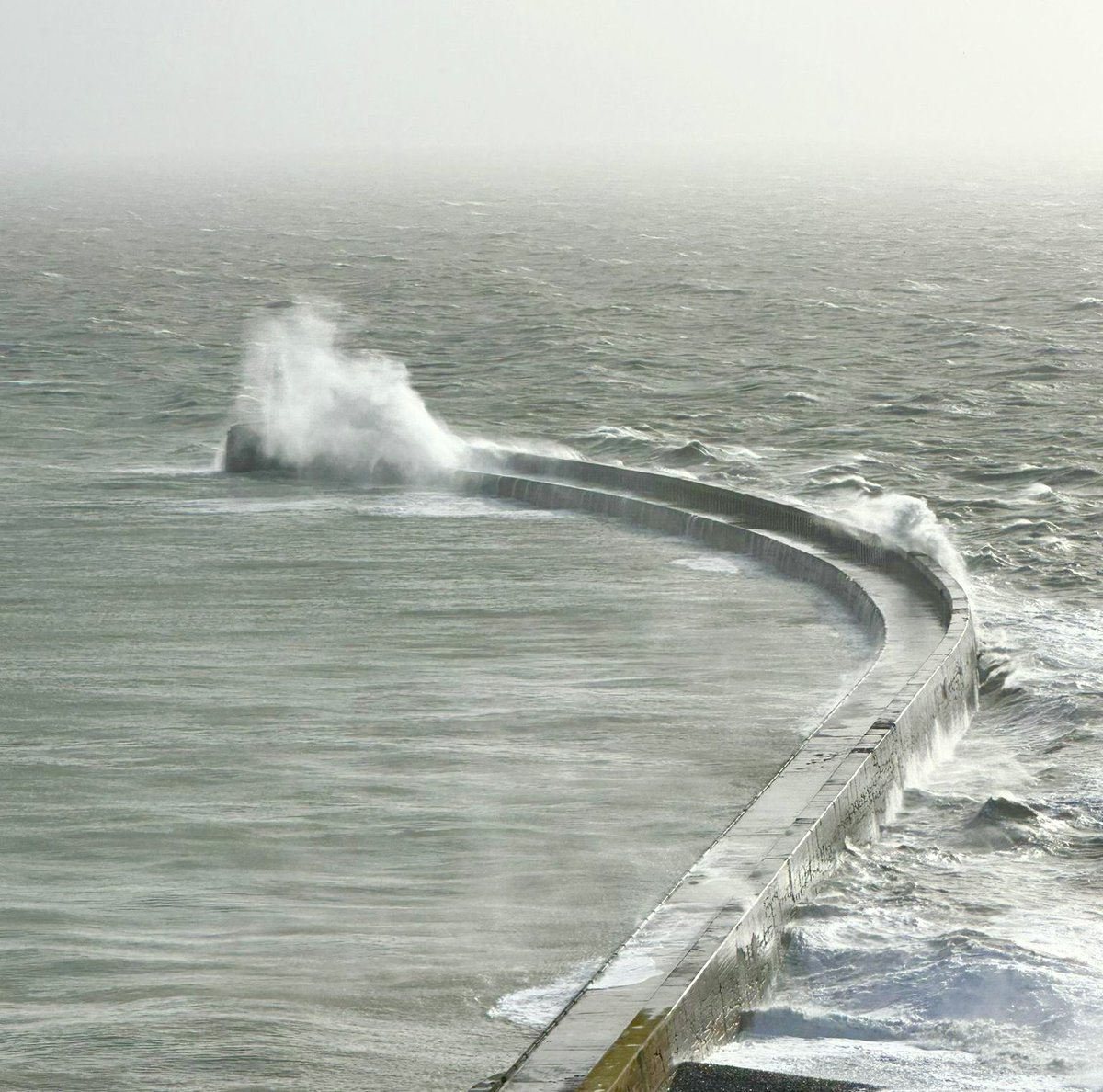 Newhaven lighthouse, seen from our lookout, can be playful at times. Now you see me….now you don’t 😊 Oh, what fun we have on watch! nci.org.uk/newhaven