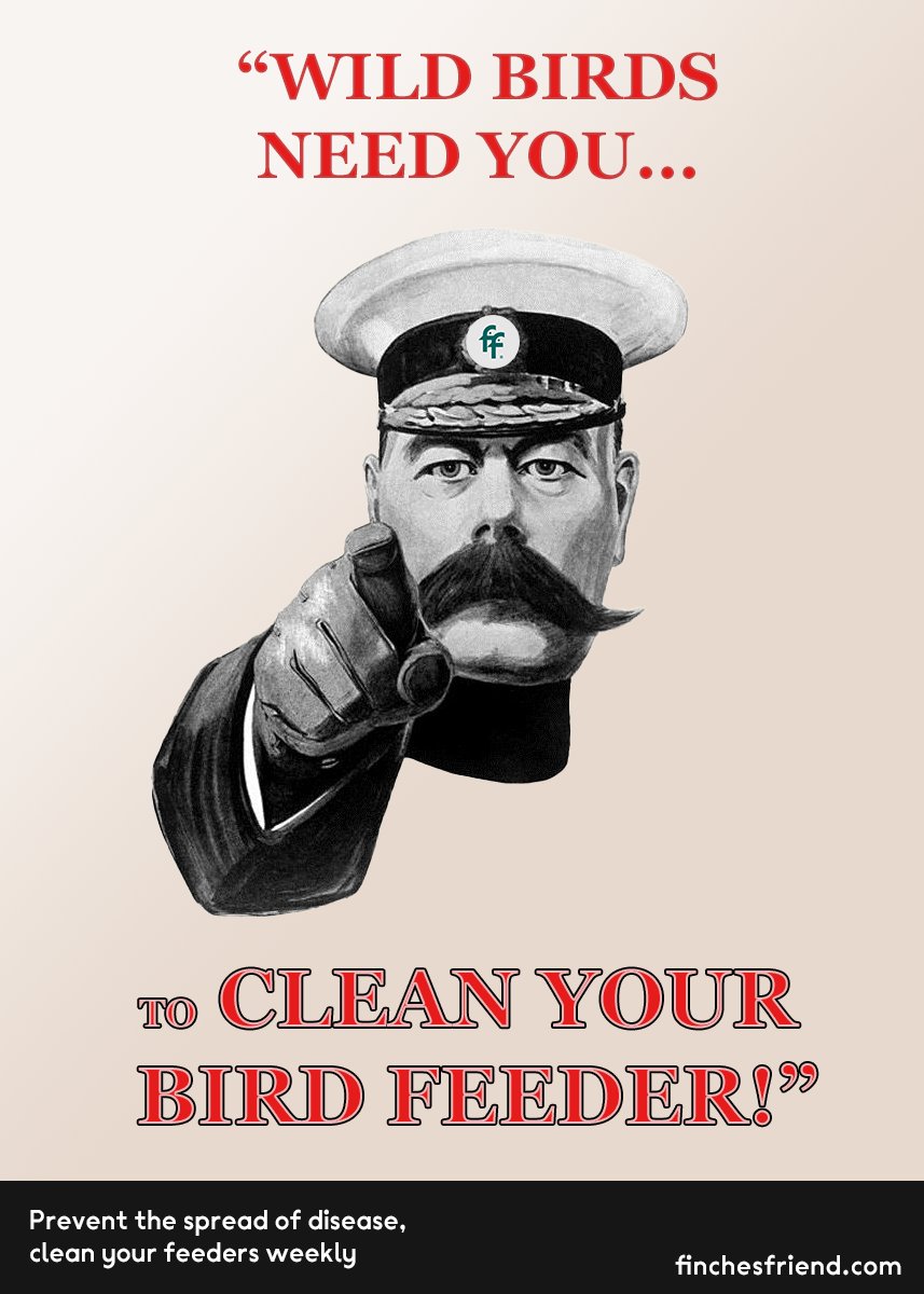 Finches Friend tweet media