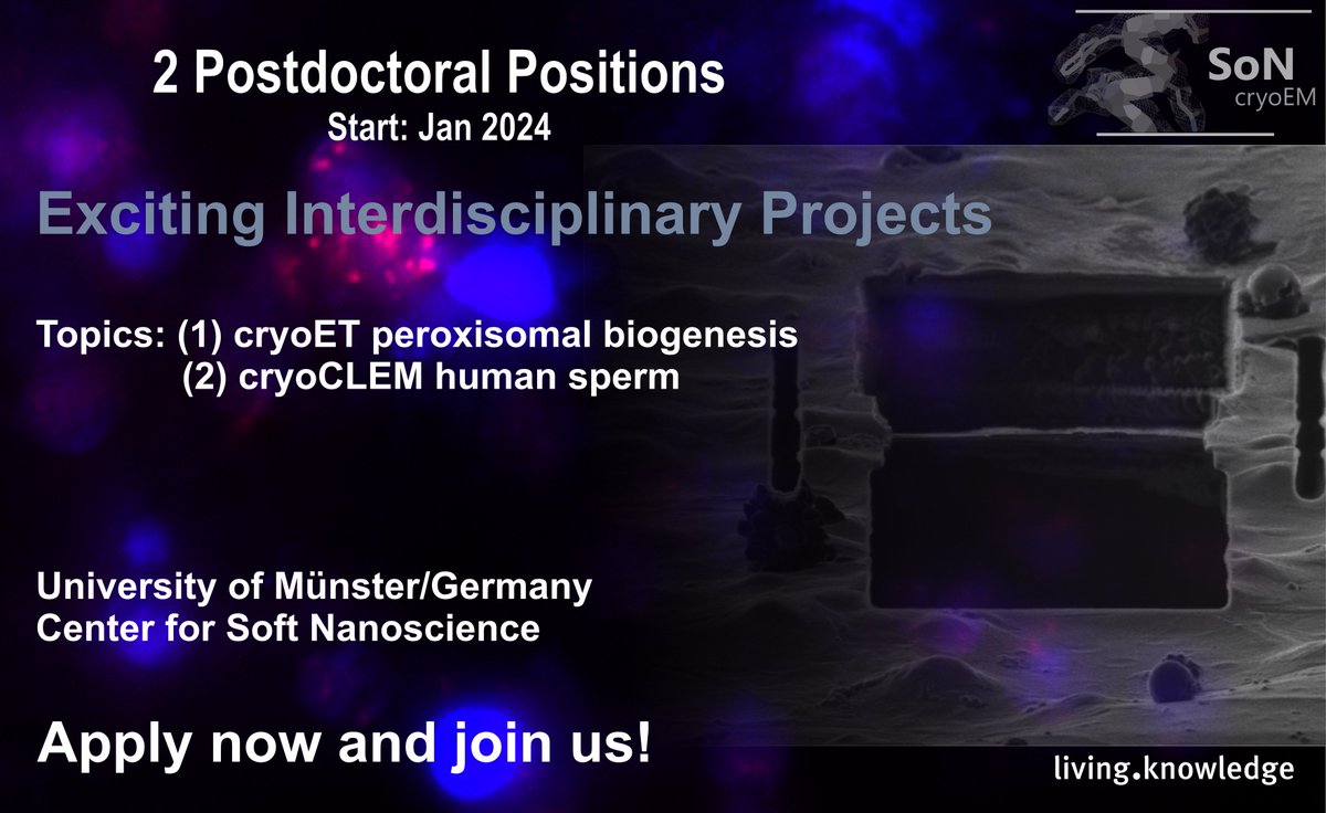 Gatsogiannis Lab (@gatsogiannislab) on Twitter photo 📢We're looking for two Postdocs to join our lab in
<a href="/uni_muenster/">Universität Münster</a> #SoN for projects using in situ #cryoEM #cryoET to study peroxisomes and human sperm (collab with
@StruenkerLab)! Learn more and apply here
👉tinyurl.com/4x9z6zkd
👉tinyurl.com/ufxdda8t
and please RT! 📢We're looking for two Postdocs to join our lab in
<a href="/uni_muenster/">Universität Münster</a> #SoN for projects using in situ #cryoEM #cryoET to study peroxisomes and human sperm (collab with
@StruenkerLab)! Learn more and apply here
👉tinyurl.com/4x9z6zkd
👉tinyurl.com/ufxdda8t
and please RT!