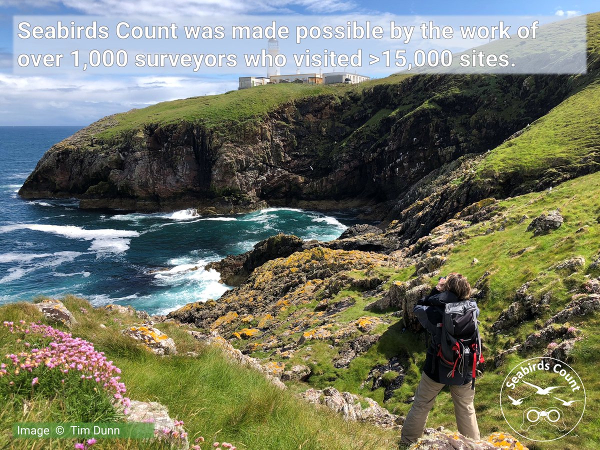 JNCC_UKseabirds's tweet photo. Completing a project of this scale, is no easy task! It is through the passion and dedication of >1,000 #volunteer and professional surveyors that we can bring these results to you today. So, a massive thank you to those #CensusLegends that took part in #SeabirdsCountπ₯° https://t.co/twRHchvOl7