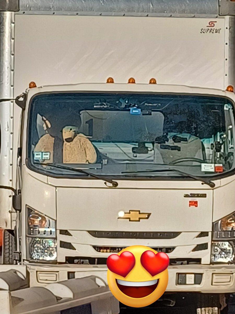 On the way to work, and there's a bear in the front seat of a truck. #friendsfirst