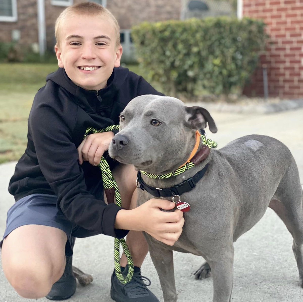 LMPositif's tweet photo. 🐶 Quand il avait 4 ans, Roman a appris que tous les chiens ne sortent pas vivants des refuges. Il a donc commencé à réaliser des vidéos pour aider ces chiens à trouver un foyer aimant. Huit ans plus tard, il a aidé plus de 4 000 chiens à être adoptés ! 👏 (The Washington Post) https://t.co/gga9OTI8y4