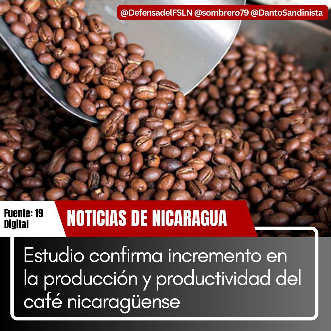 Seguimos creciendo en materia prima #TropaSandinista #PuebloVictorioso #SomosUNAN #13DeJulio