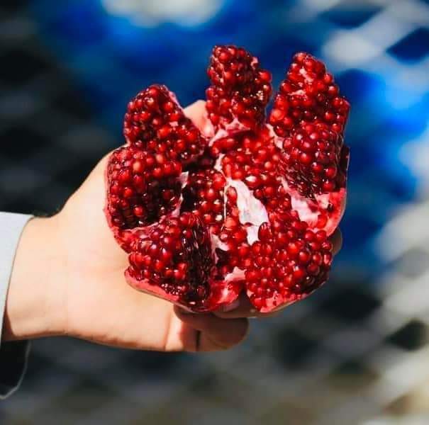 د ګران افغانستان خواږه کندهاري آنار، د چین په یوه نندارتون کي!