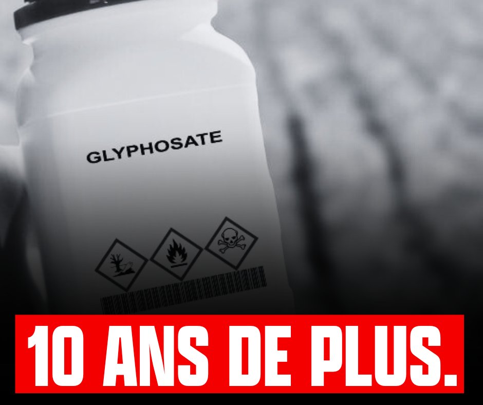 Clémence Guetté tweet media