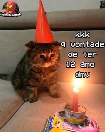 Shitpost só que de verdade (@shitpostverdade) on Twitter photo 