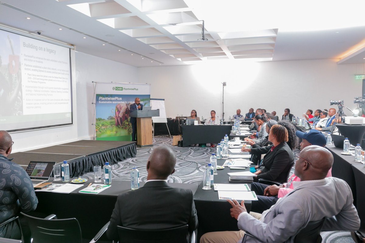 CABI PlantwisePlus (@cabi_plantwise) on Twitter photo Excited for today! 🔊
We are pleased to host a high-level stakeholder engagement in Kenya, bringing together key partners like <a href="/kenya/">Kenya 𓆤</a>-plant-health-inspectorate-services, <a href="/kalromkulima/">KALRO</a> and <a href="/kilimoKE/">Ministry of Agriculture & Livestock Development</a> to expand collaboration in Kenya to deliver the Plantwiseplus initiative. Excited for today! 🔊
We are pleased to host a high-level stakeholder engagement in Kenya, bringing together key partners like <a href="/kenya/">Kenya 𓆤</a>-plant-health-inspectorate-services, <a href="/kalromkulima/">KALRO</a> and <a href="/kilimoKE/">Ministry of Agriculture & Livestock Development</a> to expand collaboration in Kenya to deliver the Plantwiseplus initiative.