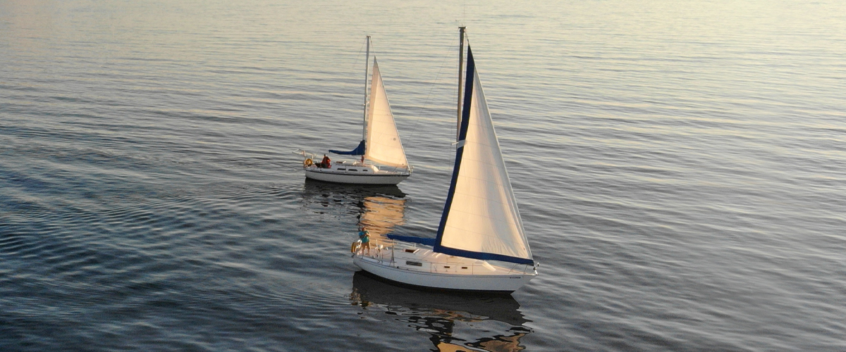 Credo and <a href="/AnchorCapitalZA/">Anchor</a> to partner, creating $12 bn Wealth &amp; Asset Manager. This exciting development creates a common shareholding structure, allowing both Credo and Anchor to operate independently while leveraging each other’s strengths. Learn more: credogroup.com/news/merger-20…