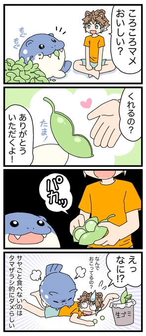 おいしいころころマメの食べ方