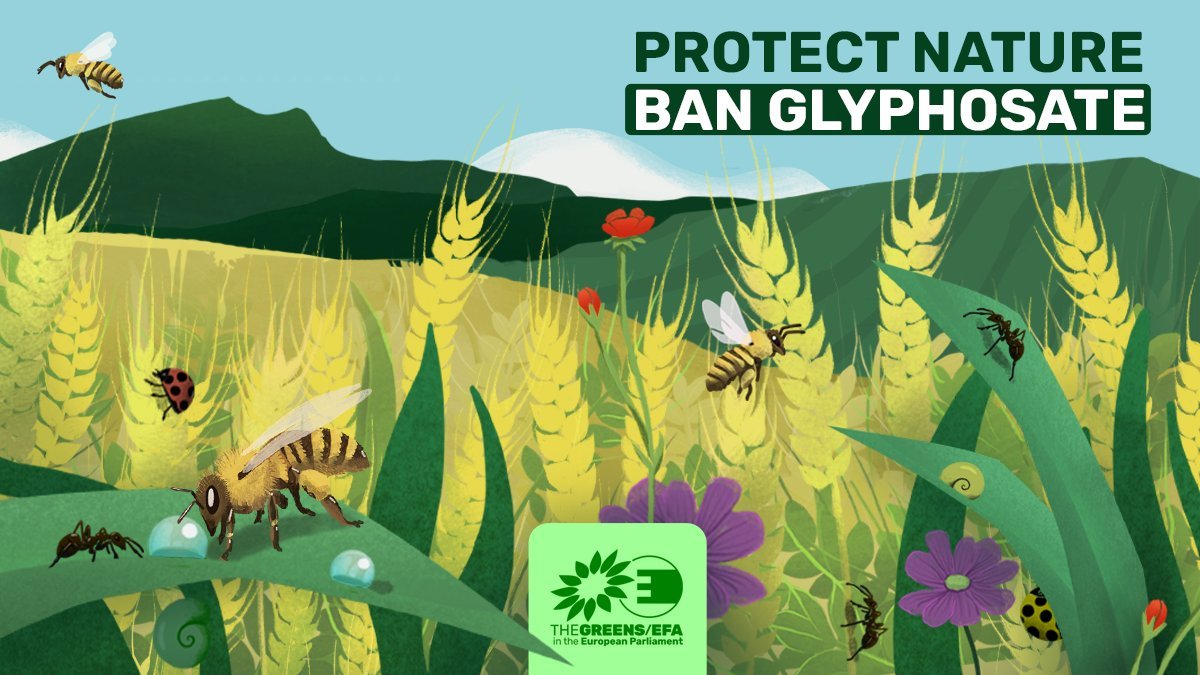 More than disappointed to hear that the Commission will approve the use of glyphosate for another ten years This despite European Food Safety Authority finding 'high-long term risks', WHO finding it 'probably carcinogenic' and independent reports showing impact on biodiversity