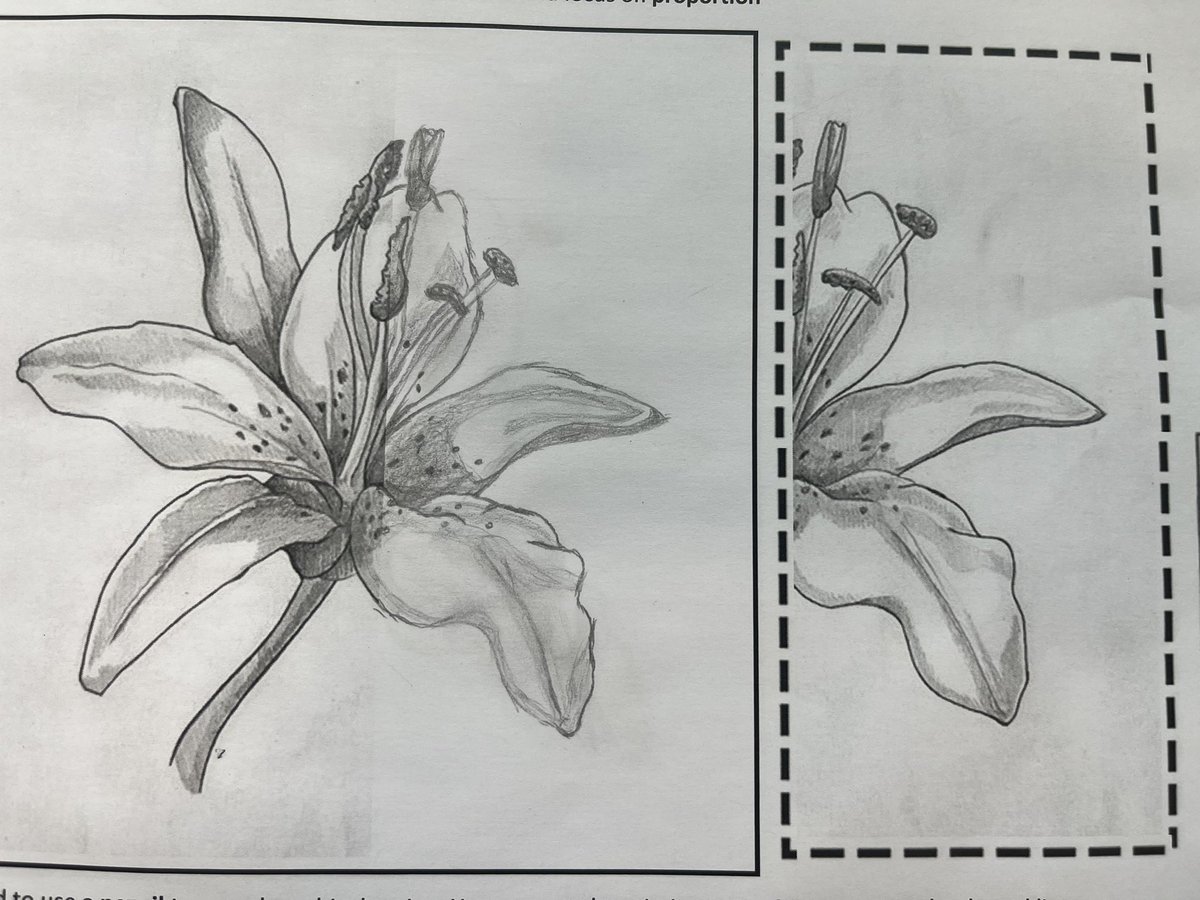 Art_Deanery's tweet photo. Some of our year 7 classes have been exploring proportion in their art lesson this week. Students had to draw the missing half of the image…I think you will agree they are the loveliest lillies @deaneryacademy! #artistsinthemaking #formalelements #drawingproportion https://t.co/I2tFWZTmRk