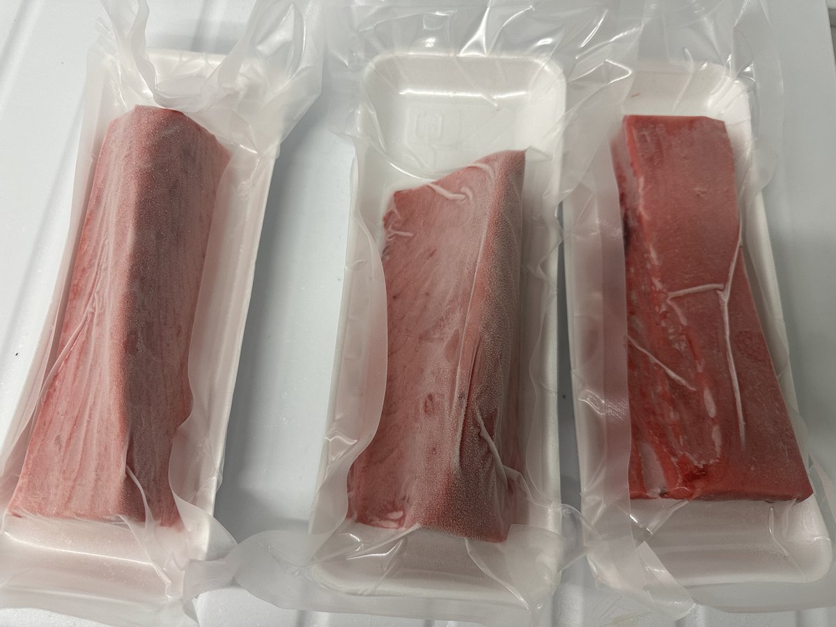 マグロBP🐟

中トロと赤身合計500g以上!!
1名様にforYou🎁

これらも-60度管理のマグになりまふ!!

フォロー＆RTで参加ok!!

締切日時11月19日(日)23時までよ!!

当選者は発表いたしまふ!!

ヨロスコぴー

#懸賞 #プレゼント