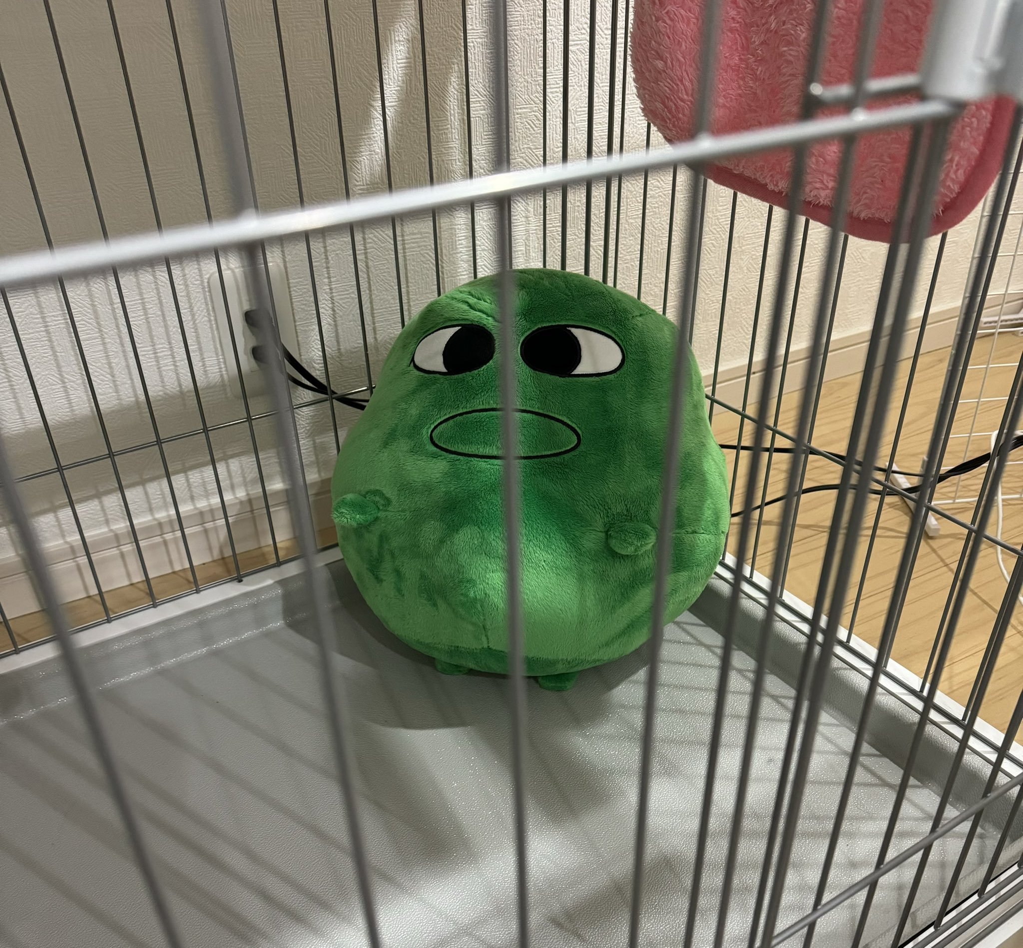 ビッグマエスケぬいぐるみ 受注生産 maesuke マエスケ人形 季節の ビッグマエスケぬいぐるみ 受注生産 maesuke マエスケ人形 季節の