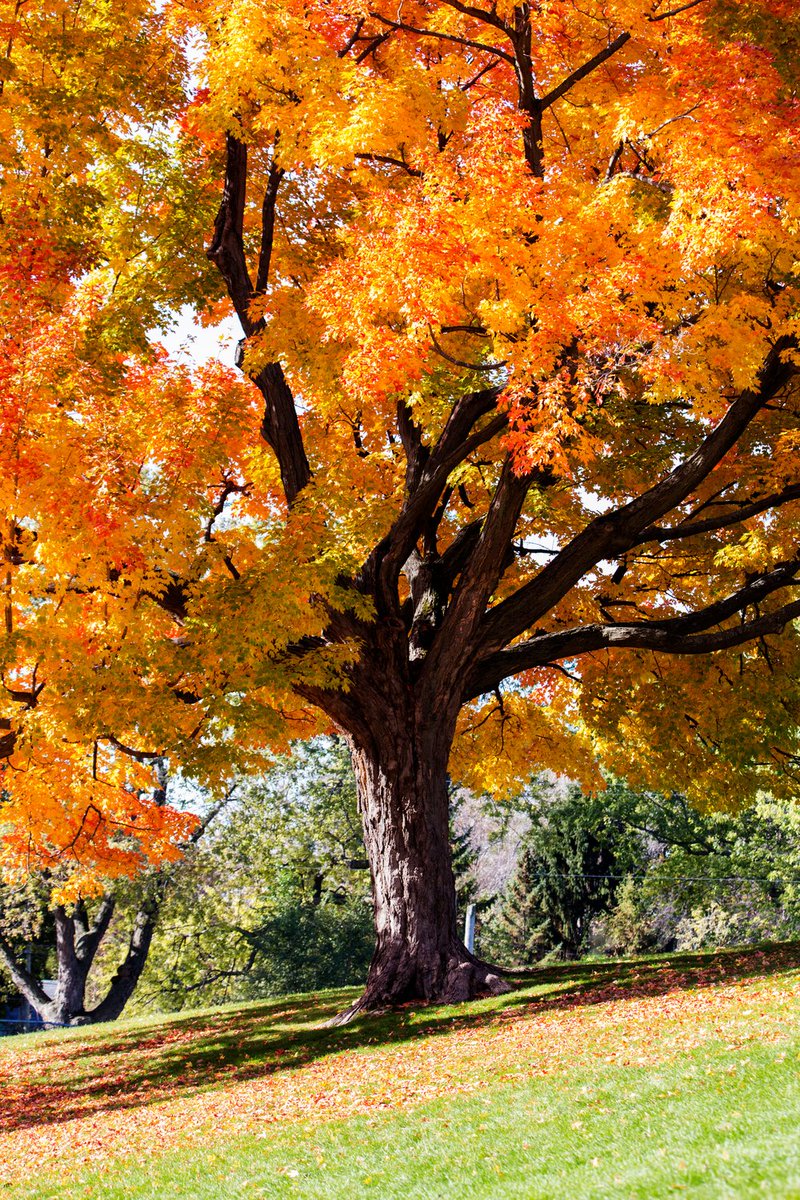 vip88d's tweet photo. Love nature https://t.co/RvqSyzalEl