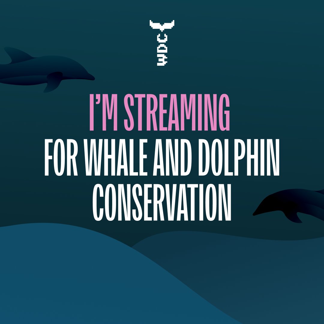 uk_lem's tweet image. REALLY excited to announce that from the 1st - 14th of December, I'll be back on Twitch and streaming for @whalesorg this @jinglejam, raising awareness and funds for the importance of saving cetaceans (whales, dolphins &amp;amp; porpoises)🐬🐳

#jinglejam #wdc @GamesForWaves