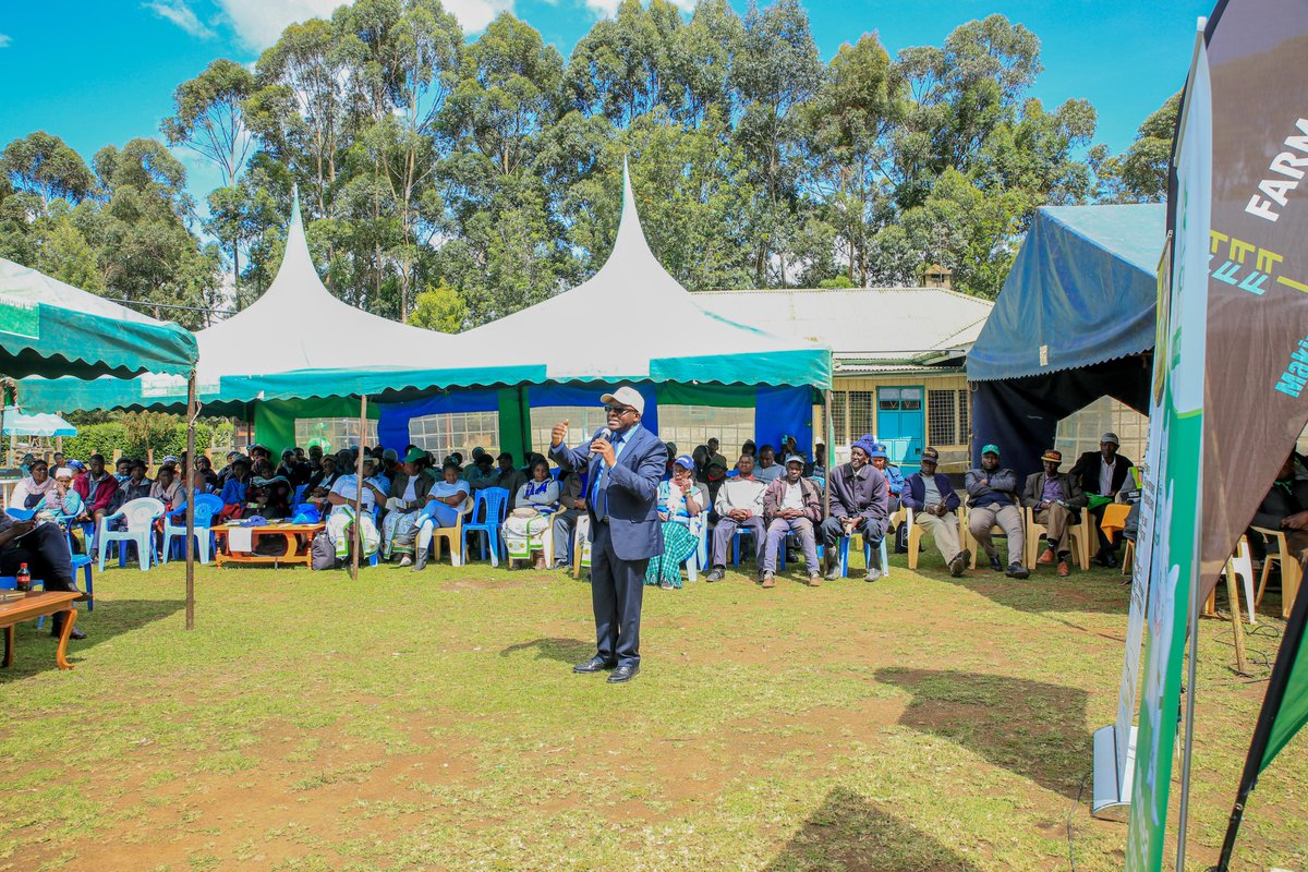 cerealgrowerske's tweet photo. Yesterday, Farm to Market Alliance and Cereal Growers Association's teams were in #olkalou, Nyandarua County, to launch #biogas and #Damliners.

The event was graced by CECM Livestock, Fisheries and #agriculture(#Nyandarua County), Hon. Francis Miringu and His environment, and public works counterparts, Hon. Samuel Wachira and Hon. Cecilia Wangari Kiriri, respectively. Yesterday's event concluded the 1-week launch event, which saw #farmers educated on sustainable agricultural practices, including best Water Harvesting Techniques, #agroforestry, and Integrated Soil Fertility Management.

Biogas benefits farmers, especially women, by reducing the time to fetch firewood. Biogas has several other benefits, including reduced #deforestation, a source of income & #organicmanure, bio-slurry is used to treat compost, among others. On the other hand, Dam liners are used to store water in the rainy season for irrigation in the dry season.

In partnership with Farm to Market Alliance, CGA organizes frequent field days to educate youth, women, and smallholder farmers on best farming practices.
Please send us a DM on any inquiry and be part of this journey.

Others at the event include @ocpgroup, @Bayer East Africa, @_SeedCoKenya, True Vet, and @sistema_bio, among others.

#TogetherWeGrow, #makingmarketsworkbetterforfarmers, #climatechange, #ClimateAction, #Sustainability, #agriculture
@AnthonyKioko, @WaithakaNjoroge, @JuliusNyabicha, @mbondofm, James Muia, @DUNCANOALO