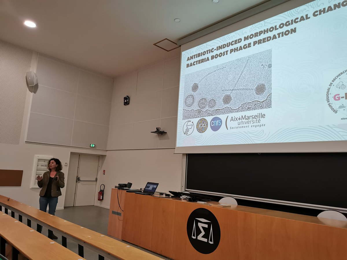 g_rremi's tweet photo. Great to hear @MireilleLCB, our keynote speaker , who talks about tripartite association antibiotic-host-phage🦠 https://t.co/PP7d5VBpkw