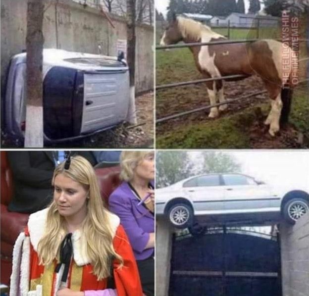 thatCarlosdude2's tweet image. I wonder sometimes how things got there?