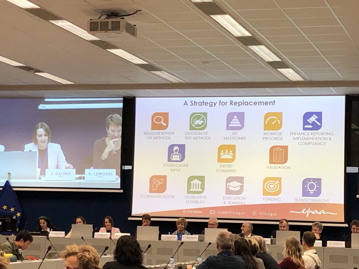JenHochmuth's tweet photo. Happy to have attended yesterday’s ⁦@EPAA3Rs⁩ annual conference with the buzzword being #collaboration among all stakeholders.  

The missing piece of the puzzle is a concrete roadmap with more than just defining a few milestones to phase out #animaltesting. https://t.co/GN8gHn9XZ1