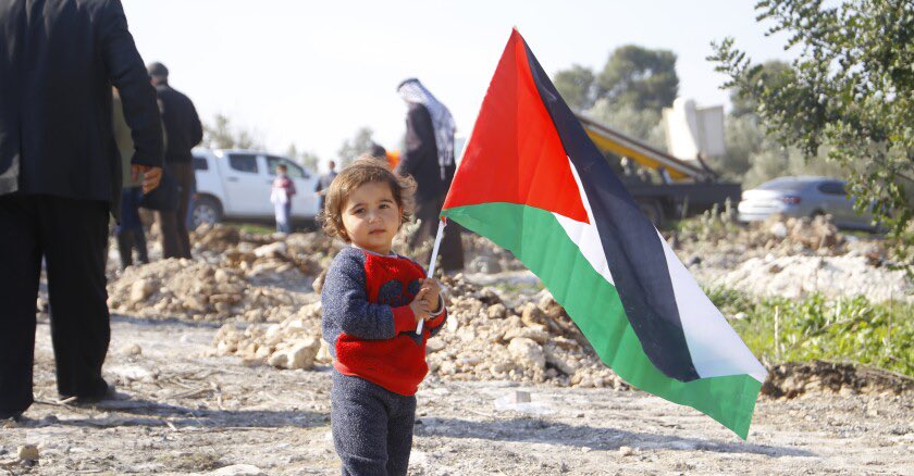 Mai (@maimaikhalil) on Twitter photo 