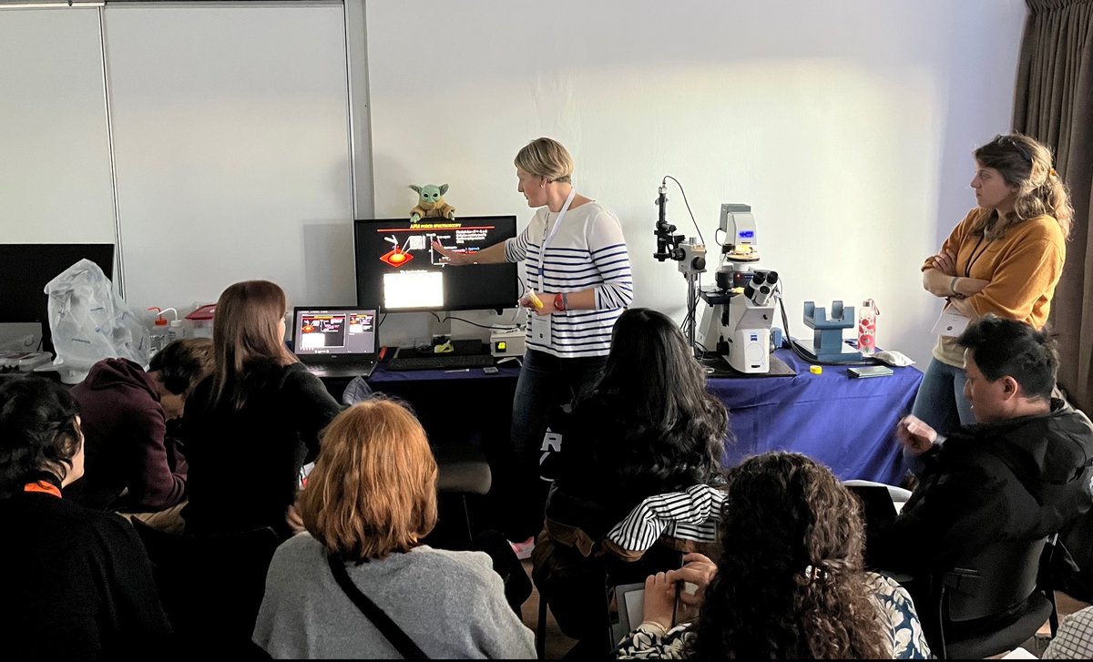 Bruker Nano Surfaces & Metrology tweet media