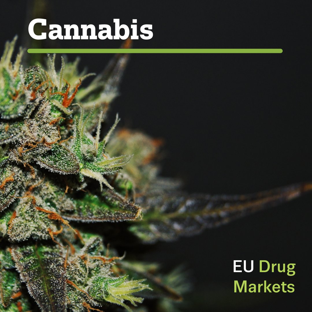 EUDrugsAgency's tweet photo. New analysis highlights greater diversity of #cannabis products, rising potency and security risks posed by Europe's largest illicit drug market.

Read our news release: https://t.co/MpGO92116r https://t.co/u0uLgRx5RE