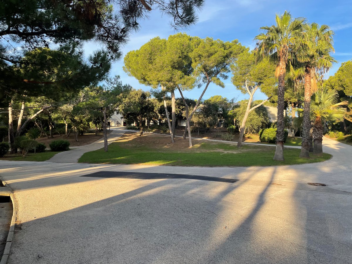 Nicole Robb tweet media