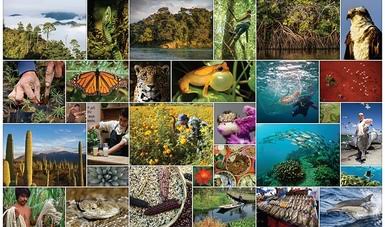 NX Noticias tweet media