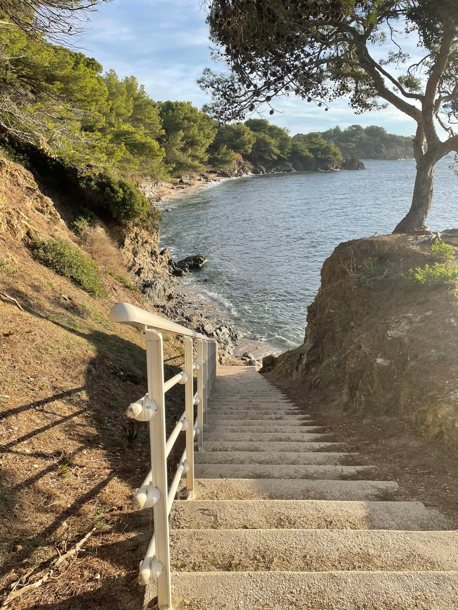 Nicole Robb tweet media